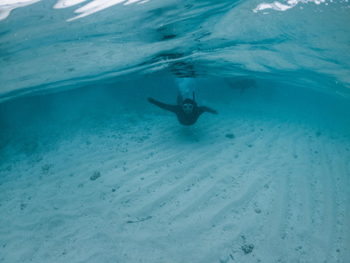 A diver diving into deep blue seawater